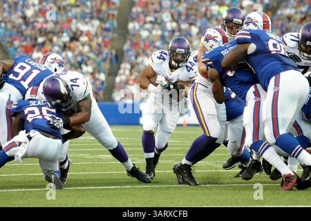 16 août 2013 - Orchard Park, New York, U. S - Minnesota Vikings Running Back MATT ASIATA (44) frappe le trou dans le premier quart de la zone rouge contre les Buffalo Bills au Ralph Wilson Stadium à Orchard Park, NY. Buffalo bat le Minnesota 20-16. (Crédit image : © Michael Johnson/ZUMAPRESS.com) Banque D'Images