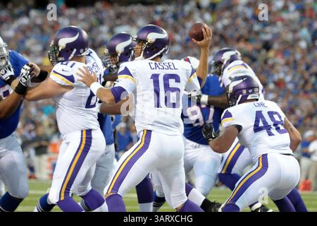 16 août 2013 - Orchard Park, New York, U. S - le quarterback des Vikings du Minnesota MATT CASSEL (16 ans) fait le lancer contre les Bills de Buffalo au deuxième quart-temps au Ralph Wilson Stadium à Orchard Park, NY. Buffalo bat le Minnesota 20-16. (Crédit image : © Michael Johnson/ZUMAPRESS.com) Banque D'Images