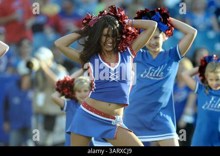 16 août 2013 - Orchard Park, New York, U. S - Une Buffalo Jill acclame au milieu de terrain avant que les Vikings du Minnesota affrontent les Buffalo Bills au Ralph Wilson Stadium à Orchard Park, NY. Buffalo bat le Minnesota 20-16. (Crédit image : © Michael Johnson/ZUMAPRESS.com) Banque D'Images