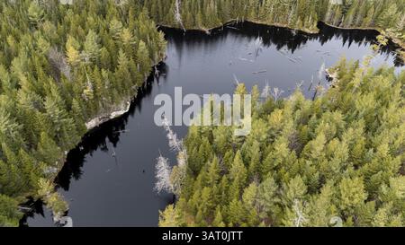Lac dans la forêt boréale. Région de la Mauricie. Province de Québec. Canada Banque D'Images