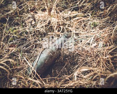 Vieille bouteille dans l'herbe de l'année dernière au printemps, lomography Banque D'Images