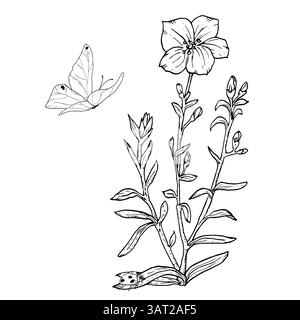 Une fleur sauvage avec des feuilles et un papillon. Illustration vectorielle noir et blanc. Fleurs et herbes de Beadow, papillons flottant isolés sur un BA blanc Illustration de Vecteur