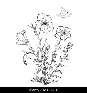 Une fleur sauvage avec des feuilles et un papillon. Illustration vectorielle noir et blanc. Fleurs et herbes de Beadow, papillons flottant isolés sur un BA blanc Illustration de Vecteur