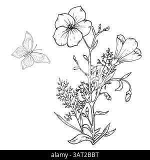 Une fleur sauvage avec des feuilles et un papillon. Illustration vectorielle noir et blanc. Fleurs et herbes de Beadow, papillons flottant isolés sur un BA blanc Illustration de Vecteur