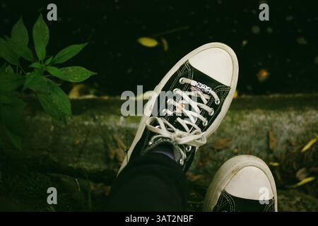 Madrid, Espagne 1 mai 2024 Une paire de baskets Converse noires. Les conversations noires d'une personne, avec des lacets blancs et des accessoires amusants, près de la verdure. Banque D'Images