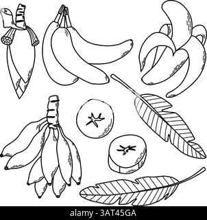 Illustrations de bananes dessinées à la main, y compris des feuilles, des tranches et des bananes pelées Illustration de Vecteur