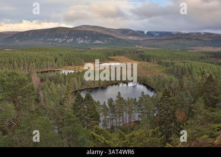 Une vue panoramique sur le parc national de Cairngorms le long du sentier de randonnée Uath Lochans. Banque D'Images