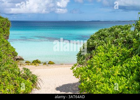 Une végétation luxuriante encadre une plage immaculée et des eaux turquoises à Okinawa, au Japon Banque D'Images