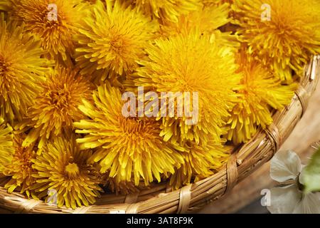 Fleurs de pissenlit dans un panier en osier, gros plan Banque D'Images