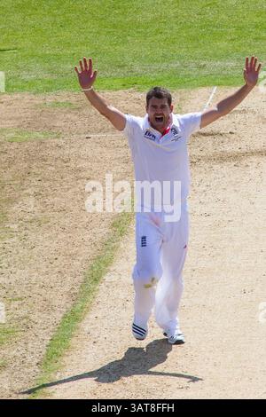 NOTTINGHAM, ANGLETERRE - 11 juillet : L'anglais James Anderson lance un appel pour un guichet lors de la deuxième journée du premier Investec Ashes test match au Trent Bridge Cricket Ground le 11 juillet 2013 à Nottingham, Angleterre. (Photo de Mitchell Gunn/ESPA)(image de crédit : © ESPA photo Agency/Cal Sport Media/ZUMAPRESS.com) Banque D'Images