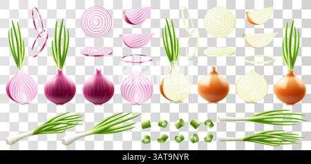 Ensemble d'oignons jaunes et rouges et de grappes d'oignons verts. Oignon bulbe entier et tranches d'oignon ou de poireaux. Oignon vert haché, ciboulette, bouquet de Illustration de Vecteur