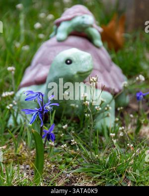 Une décoration de jardin créative avec des figurines de tortues entourées de fleurs violettes vibrantes et de verdure. Banque D'Images