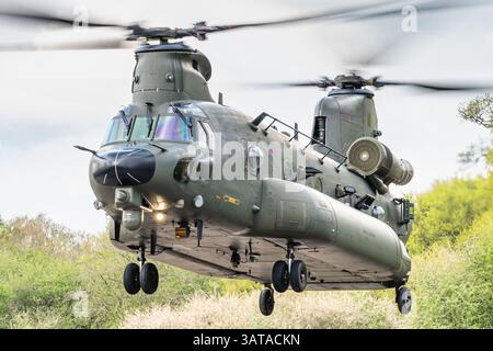 Un hélicoptère de transport militaire Boeing Chinook HC6 de la Royal Air Force britannique. Banque D'Images