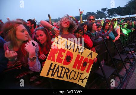 11 août 2013 - San Francisco, CA, États-Unis - les fans réagissent comme les Red Hot Chili Peppers en tête d'affiche sur la scène Land's End lors du Outside Lands Music and Arts Festival au Golden Gate Park à San Francisco, en Californie, le dimanche 11 août 2013. (Crédit image : © Jane Tyska/MCT/ZUMAPRESS.com) Banque D'Images