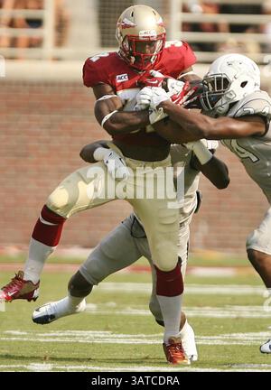 14 septembre 2013 - Tallahassee, FL, États-Unis - Florida State Running Back James Wilder Jr. (32) se bat contre le Nevada lors du match au Doak Campbell Stadium à Tallahassee, Floride, le samedi 14 septembre 2013. Le FSU a battu le Nevada, 62-7. (Crédit image : © Stephen M. Dowell/MCT/ZUMAPRESS.com) Banque D'Images