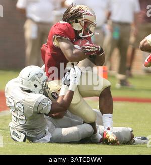 14 septembre 2013 - Tallahassee, FL, États-Unis - Florida State Running Back Devonta Freeman est attaquée par le défenseur du Nevada Elijah Mitchell (28) lors d'un match au Doak Campbell Stadium de Tallahassee, Floride, le samedi 14 septembre 2013. Le FSU a battu le Nevada, 62-7. (Crédit image : © Stephen M. Dowell/MCT/ZUMAPRESS.com) Banque D'Images