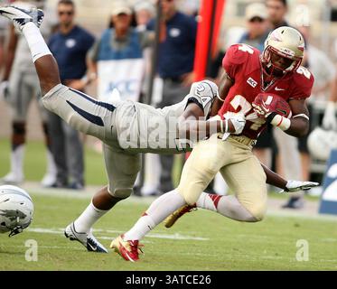 14 septembre 2013 - Tallahassee, FL, États-Unis - Florida State Running Back Ryan Green (24 ans) traîne le Nevada défensive Back Charles Garrett lors d'une course au Doak Campbell Stadium à Tallahassee, Floride, le samedi 14 septembre 2013. Le FSU a battu le Nevada, 62-7. (Crédit image : © Stephen M. Dowell/MCT/ZUMAPRESS.com) Banque D'Images