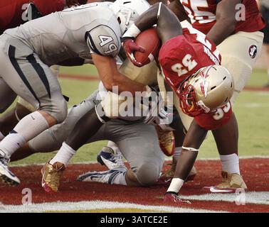 14 septembre 2013 - Tallahassee, FL, États-Unis - Florida State Running Back Freddie Stevenson (33 ans) entre dans la zone finale pour un touchdown contre le Nevada au stade Doak Campbell de Tallahassee, Floride, le samedi 14 septembre 2013. Le FSU a battu le Nevada, 62-7. (Crédit image : © Stephen M. Dowell/MCT/ZUMAPRESS.com) Banque D'Images
