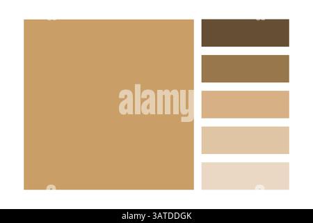 Disposition des tons neutres. Panneau marron beige. Blocs de palette terreux. Schéma de couleurs vectorielles. Illustration de Vecteur