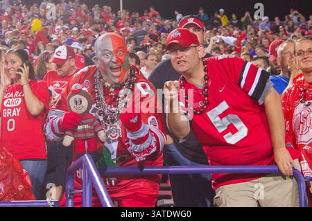 5 octobre 2013 : les fans de l'Ohio State encouragent les Buckeyes pendant le match entre les Buckeyes de l'Ohio State et les Wildcats du Nord-Ouest au Ryan Field à Evanston, Illinois. Ohio State Beat Northwestern 40-30.(image crédit : © Scott Terna/Cal Sport Media/ZUMAPRESS.com) Banque D'Images