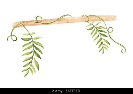Branches de Liana avec des feuilles tropicales. Illustration d'aquarelle dessinée à la main des plantes de la jungle. Plantes de cadre de dessin animé de la jungle avec espace pour le texte. Conception Banque D'Images