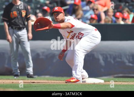 22 mai 2016 : Jonathan Rodriguez, premier joueur de base de Memphis, regarde dans un lancer lors de la quatrième manche d'un match de baseball MiLB entre le Round Rock Express et les Redbirds de Memphis à AutoZone Park à Memphis, Tennessee. Memphis a gagné 8-1. Austin McAfee/CSM(image crédit : © Austin McAfee/CSM via ZUMA Wire) Banque D'Images