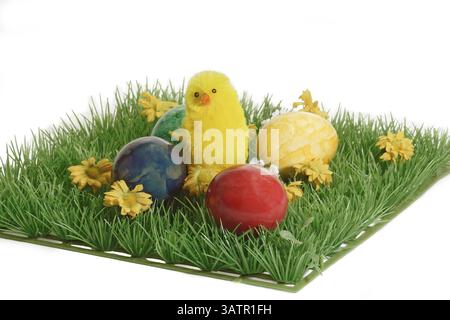 Nid de Pâques avec des poussins de jouet et des fleurs poussins de Pâques avec des oeufs de Pâques en plastique vert herbe sur fond blanc Banque D'Images