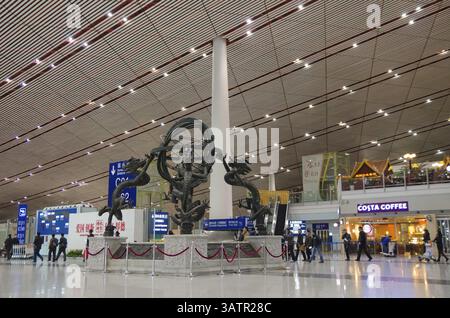 PÉKIN - 16 février 2013 : des passagers non identifiés marchent dans l'aéroport international de Pékin. En 2014, c'était l'aéroport le plus fréquenté du monde Banque D'Images