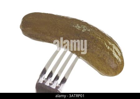 Cornichon mariné fourchue sur fond lumineux fourchue vers le haut cornichon sur fond lumineux Banque D'Images