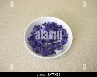 Violettes parfumées fraîchement collectées, fleurs de violettes parfumées dans un bol peu profond Banque D'Images