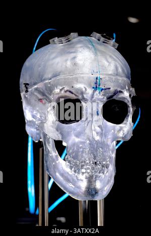 9 mars 2016 - Aberdeen, MD, États-Unis d'Amérique - capteurs fixés à un modèle de crâne humain translucide utilisés pour mesurer la vitesse et la pression des chocs explosifs au laboratoire de recherche de l'armée américaine à Aberdeen Proving Ground le 9 mars 2016 à Aberdeen, Maryland. Les données capturées par les capteurs sont utilisées pour faciliter les études sur les traumatismes cérébraux. (Crédit image : © EJ Hersom/Planet Pix via ZUMA Wire) Banque D'Images
