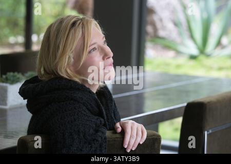 DATE DE SORTIE : 4 mars 2016. TITRE : Chevalier des coupes. STUDIO : Dogwood films. RÉALISATEUR : Terrence Malick. INTRIGUE : un écrivain se livrant à tout ce que Los Angeles et Las Vegas a à offrir entreprend une recherche d'amour et de soi via une série d'aventures avec six femmes différentes. SUR LA PHOTO : CATE BLANCHETT. (Crédit : © Dogwood films/Entertainment Pictures) Banque D'Images