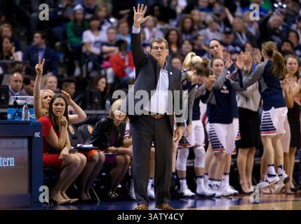 03 avril 2016 : Geno Auriemma, entraîneur-chef du Connecticut, lors d'un match de basket-ball de la NCAA entre les Huskies du Connecticut et les Beavers de l'Oregon State au Bankers Life Fieldhouse à Indianapolis, Indiana. Le Connecticut bat Oregon State 80-51. John Mersits/CSM(image de crédit : © John Mersits/CSM via ZUMA Wire) Banque D'Images