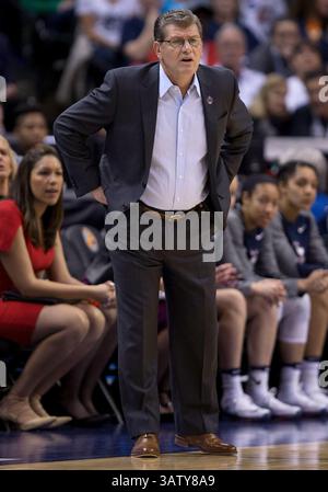 03 avril 2016 : Geno Auriemma, entraîneur-chef du Connecticut, lors d'un match de basket-ball de la NCAA entre les Huskies du Connecticut et les Beavers de l'Oregon State au Bankers Life Fieldhouse à Indianapolis, Indiana. Le Connecticut bat Oregon State 80-51. John Mersits/CSM(image de crédit : © John Mersits/CSM via ZUMA Wire) Banque D'Images