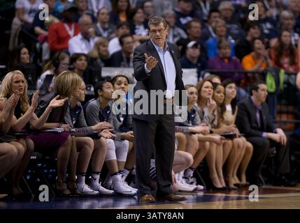 03 avril 2016 : Geno Auriemma, entraîneur-chef du Connecticut, lors d'un match de basket-ball de la NCAA entre les Huskies du Connecticut et les Beavers de l'Oregon State au Bankers Life Fieldhouse à Indianapolis, Indiana. Le Connecticut bat Oregon State 80-51. John Mersits/CSM(image de crédit : © John Mersits/CSM via ZUMA Wire) Banque D'Images