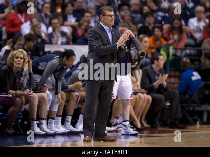 03 avril 2016 : Geno Auriemma, entraîneur-chef du Connecticut, lors d'un match de basket-ball de la NCAA entre les Huskies du Connecticut et les Beavers de l'Oregon State au Bankers Life Fieldhouse à Indianapolis, Indiana. Le Connecticut bat Oregon State 80-51. John Mersits/CSM(image de crédit : © John Mersits/CSM via ZUMA Wire) Banque D'Images