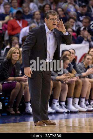 03 avril 2016 : Geno Auriemma, entraîneur-chef du Connecticut, lors d'un match de basket-ball de la NCAA entre les Huskies du Connecticut et les Beavers de l'Oregon State au Bankers Life Fieldhouse à Indianapolis, Indiana. Le Connecticut bat Oregon State 80-51. John Mersits/CSM(image de crédit : © John Mersits/CSM via ZUMA Wire) Banque D'Images