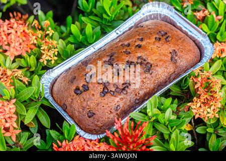 Un pain de banane fraîchement cuit garni de pépites de chocolat, une délicieuse friandise maison parfaite pour le petit déjeuner ou les collations Banque D'Images