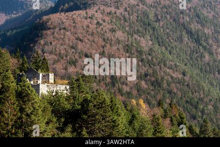 Vue panoramique sur les ruines du château de ford predel niché dans une forêt, mettant en valeur la beauté de la nature récupérant un site historique. Slovénie Banque D'Images