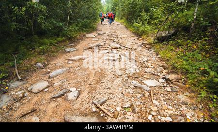 Les randonneurs marchent sur des terrains accidentés, serpentent à travers des bois verdoyants, incarnant l'exploration en plein air et le défi de la nature sauvage Banque D'Images