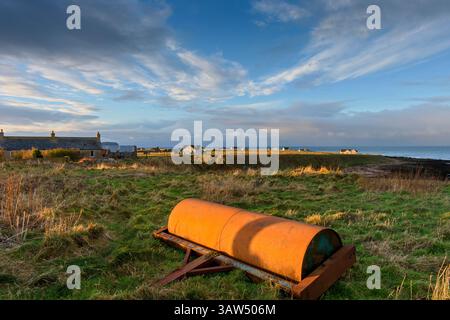Rouleau robuste sur une ferme surplombant le Pentland Firth, Caithness, Écosse, Royaume-Uni Banque D'Images