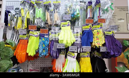 Moscou, Russie - février 27, 2025 : gamme colorée de gants de jardinage sur l'étagère d'exposition du magasin Banque D'Images