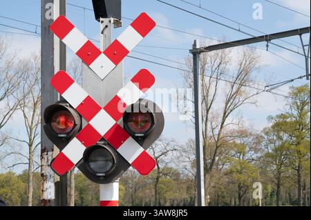 Une vue complète et détaillée d'un panneau de passage à niveau avec des lumières vives, entouré d'arbres et de voies Banque D'Images