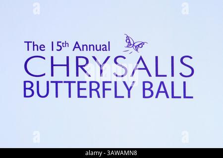 11 juin 2016 - Brentwood, CA, États-Unis - LOS ANGELES - 11 juin : ambiance au 15e bal annuel des papillons Chrysalis à la résidence privée le 11 juin 2016 à Brentwood, CA (crédit image : © Kathy Hutchins/Newscom via ZUMA Press) Banque D'Images