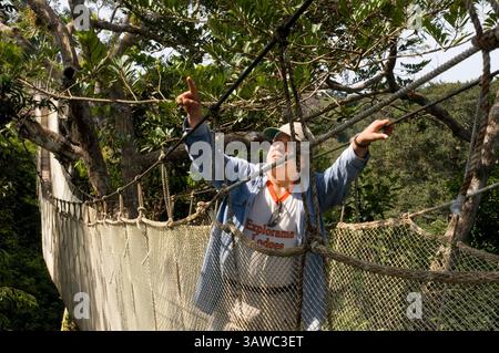 8 mars 2016 - Pérou - les visiteurs ont une vue d'oiseau de la passerelle de la canopée de la jungle amazonienne au camp de napo de la rivière Explorama tours au Pérou. Iquitos, Loreto, Pérou. Le guide Amner marche à travers l'Amazone Canopy Walkway, l'un des plus longs ponts suspendus au monde, qui permettra à l'animal la forêt primaire d'une hauteur de 37 mètres et est suspendu au-dessus des 14 arbres les plus hauts de la région. (Crédit image : © Sergi Reboredo/ZUMA Wire/ZUMAPRESS.com) Banque D'Images