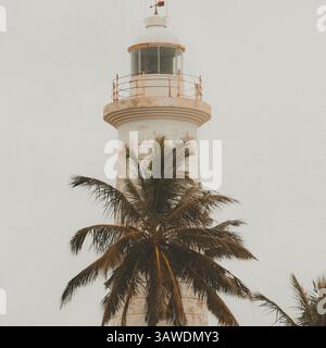 Charmant phare à Port Galle, debout sur fond de ciel couvert, encadré par les courbes gracieuses des palmiers. Banque D'Images