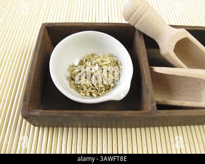 Herbe d'armoise, Absinthii herba Banque D'Images