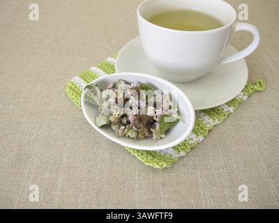 Thé à base de feuilles de mûre séchées et de fleurs de mûre Banque D'Images