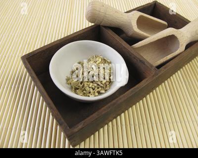 Herbe d'armoise, Absinthii herba Banque D'Images