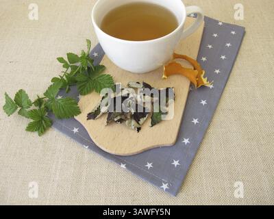 Thé aux feuilles de mûre aromatisé, thé noir à base de feuilles de mûre fermentées et d'oranges séchées Banque D'Images